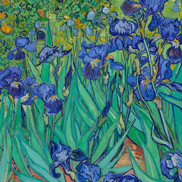 Meet your Posher, Bev - Picture 1 of 1